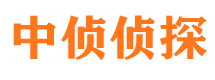 兴化市调查公司